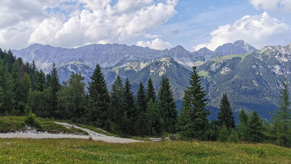 Weg zur Rauthhütte