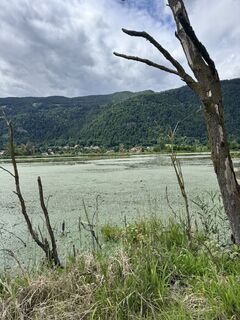 Photo de Sandy le long du parcours