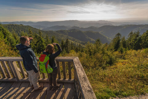 Aussichtsplattform am Schliffkopf