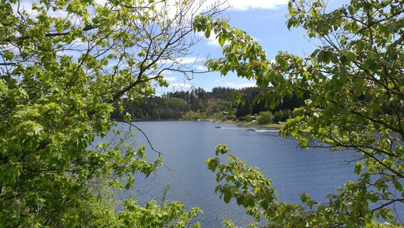 Von der Remptendorfer Bucht nach Isabellengrün