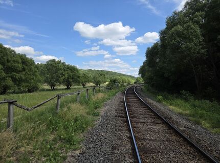 Fotografie z Dániel Téglás na trase