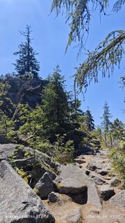 Foto da damilaja242 lungo il tour