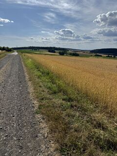 Foto von Markus Scheibinger entlang der Tour