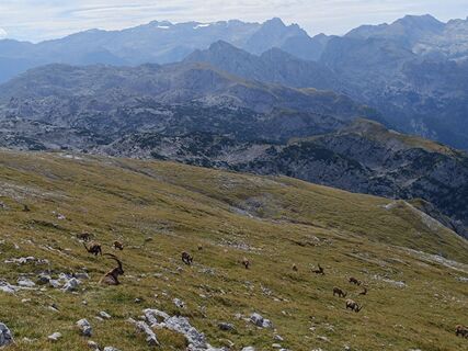 Photo de Christian Morisse le long du parcours