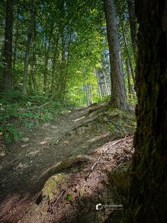 Foto von Leo Fahrngruber entlang der Tour
