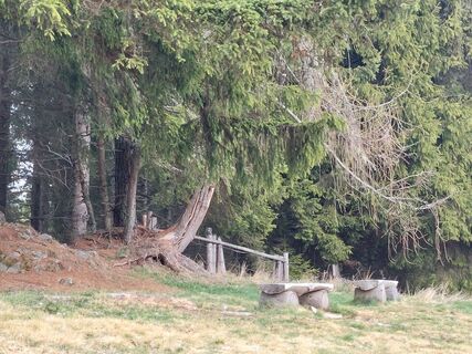 Foto von Franz Hasenberger entlang der Tour