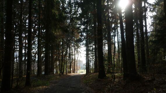 Impression bei Datting