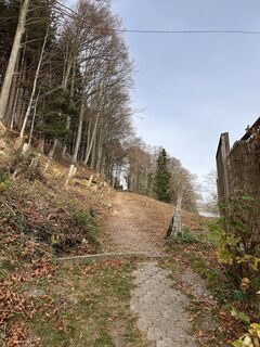 Foto von Cyrill Bischof entlang der Tour