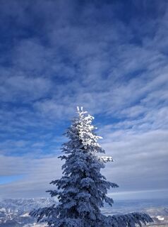 Foto de Günther Forsthuber a lo largo del recorrido