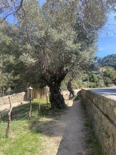 Foto från Rainer Pieper under resans gång