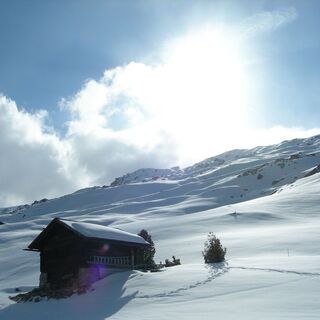 Unterwegs Richtung Alp Tscheurig