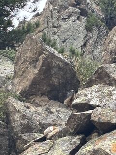 Photo de Sbrandt15 le long du parcours