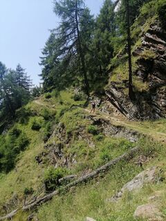 Foto von Eifeleddy entlang der Tour