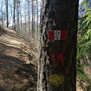 Weg 17