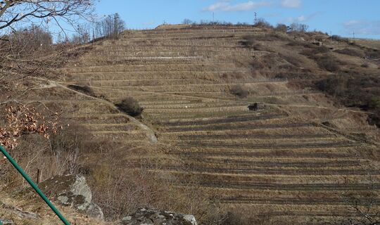 Wanderbeginn nahe Heimkehrerkreuz