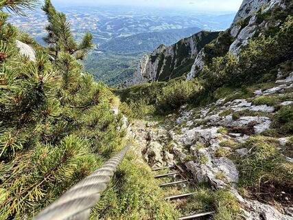 Foto von Natur_erleben_dg entlang der Tour