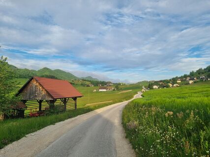 Foto von Grizli entlang der Tour