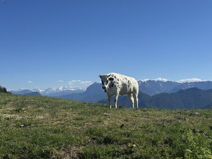 Foto von Gerti Hartmann 79 entlang der Tour