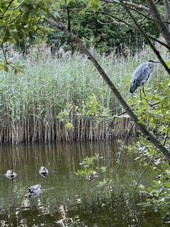 Fotografia z Gali Mikhnyova na trase