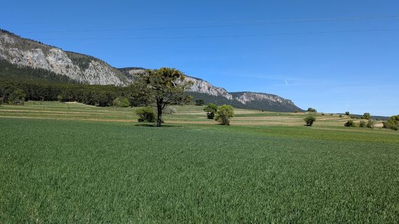 Photo de Edero le long du parcours