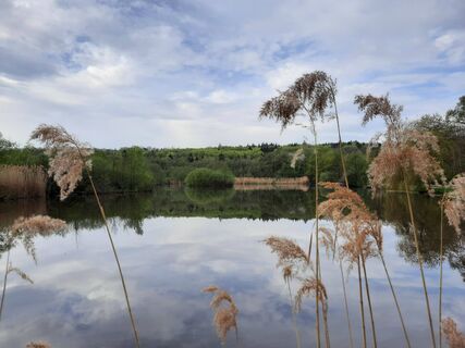 Gleichener See Runde, Pfedelbach, Hohenlohe