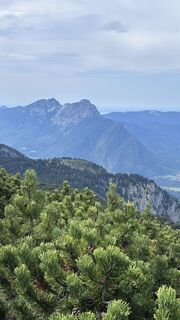 Foto von Mountain Cat ? ⛰️ entlang der Tour