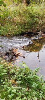 Fotografie de la Erika van den Berg de-a lungul turului