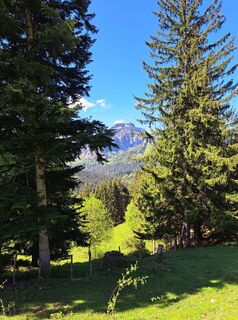 Foto von Sandra Stemplinger entlang der Tour