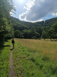 Burgen, Rheinland-Pfalz/Deutschland