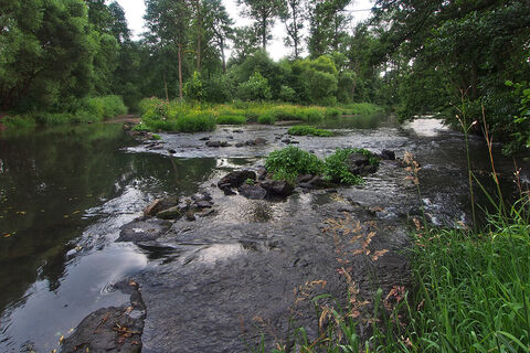 Werra Wasserhindernisse am zerfallenen Fickelmühlenwehr bei Vachdorf