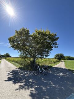 Fotografie z Jürgen Spitzkopf na trase