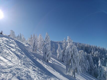Foto fra Damijan Novak underveis på turen