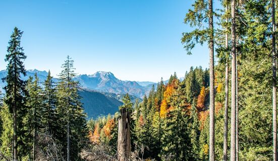 Herbstliche Aussicht