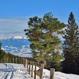 Naturrodelbahn mit Blick auf die Koralpe