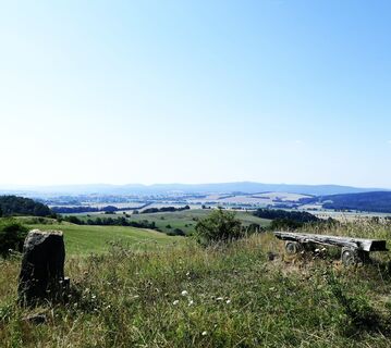 Blick in den Moorgrund