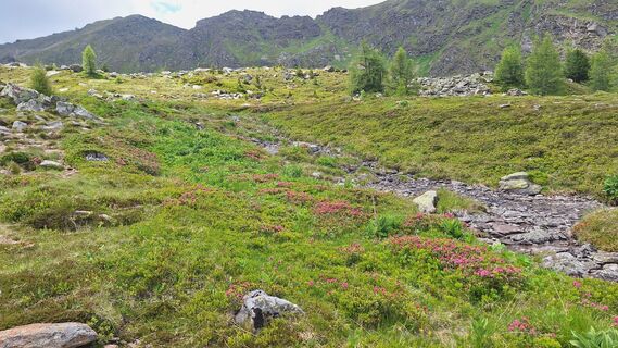 Foto de Manfred Zarnhofer a lo largo del recorrido