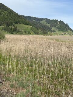 Fotografija s spletne strani Ewald Zweifel na poti