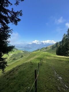 Fotografija s spletne strani Ewelina D na poti