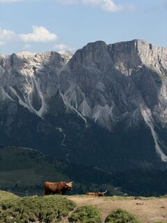 Foto von Rhiannon Marr entlang der Tour