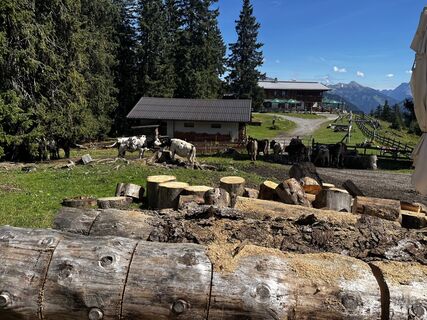 Foto de Timberwolf_Bavaria a lo largo del recorrido
