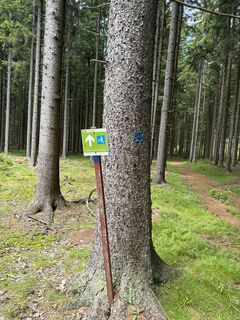 Photo de Oliver Zenner le long du parcours