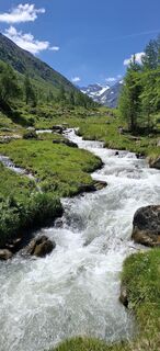 Fotografija s spletne strani David Bubenheim na poti