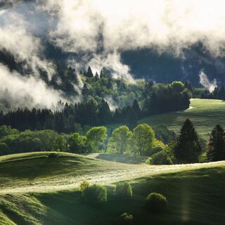 Bergmischwald und Wiesen bei Unterammergau