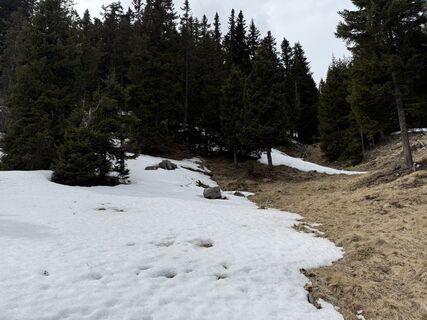Fotografia z Familie Grieb na trase