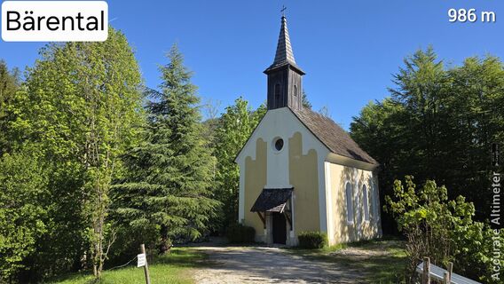 Zdjęcie z euterpe42 wzdłuż trasy