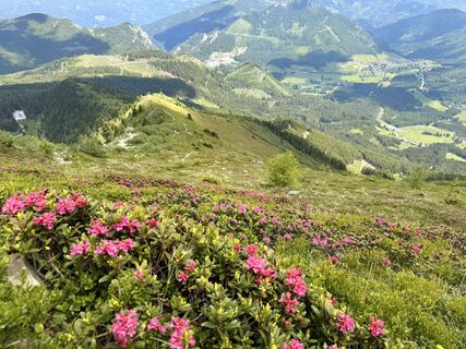 Foto von Natur_erleben_dg entlang der Tour