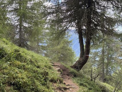 Foto von Gerardo Brunetti entlang der Tour