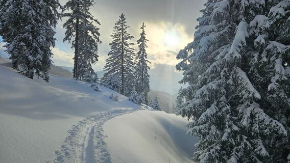 Rückweg bei tiefer Sonne