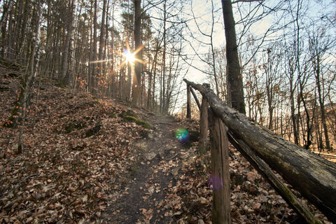 Der Sonne entgegen