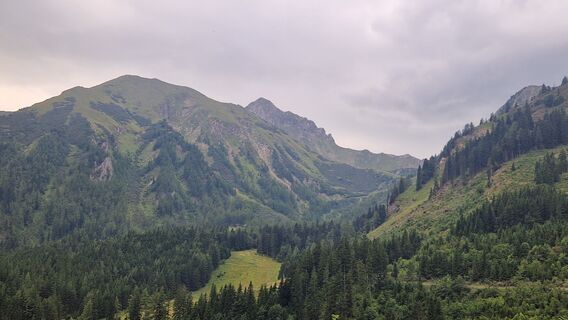 Fotografia z Utassy Tóth Johanna na trase